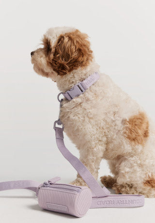 Pet Supplies