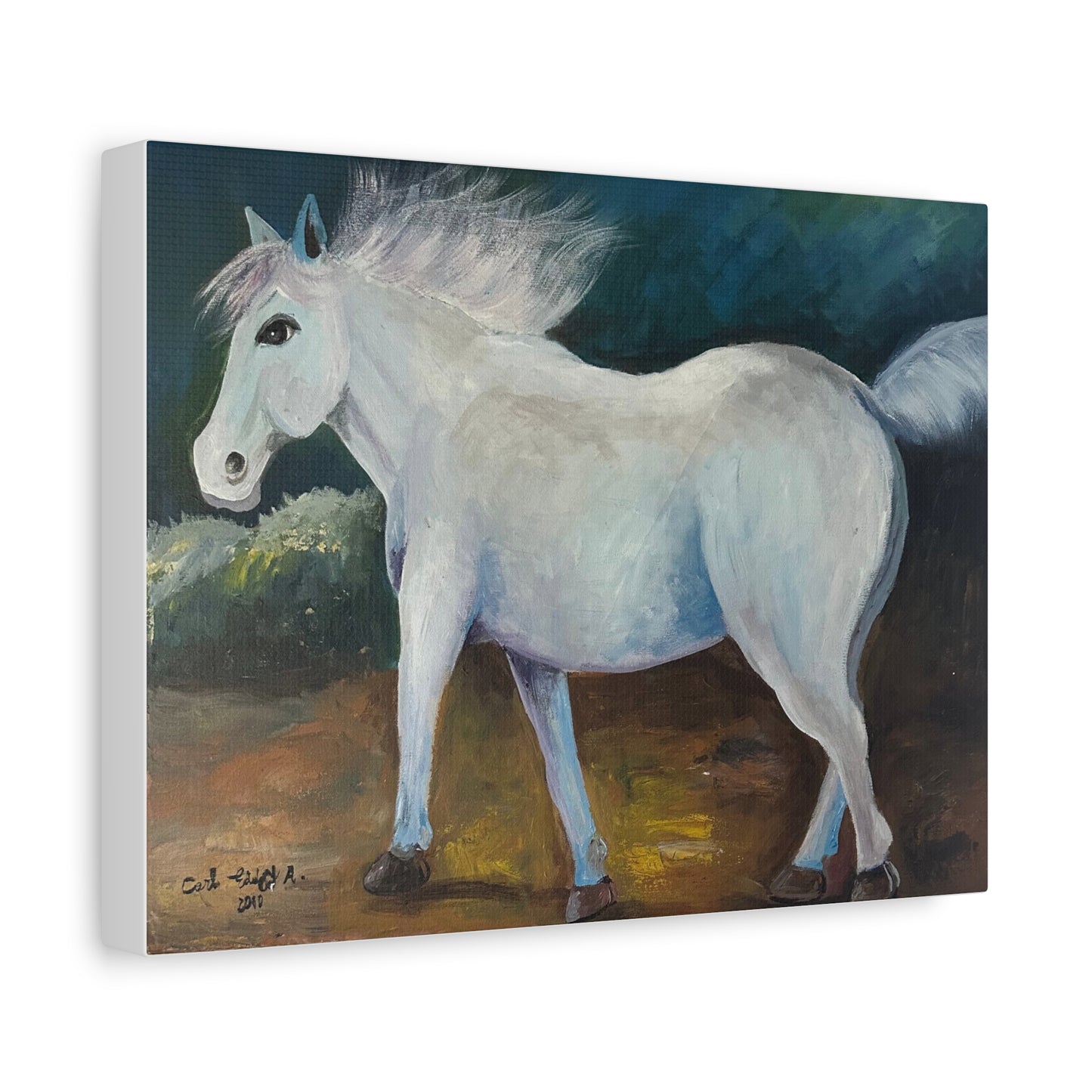 Canvas Art Print - White Horse