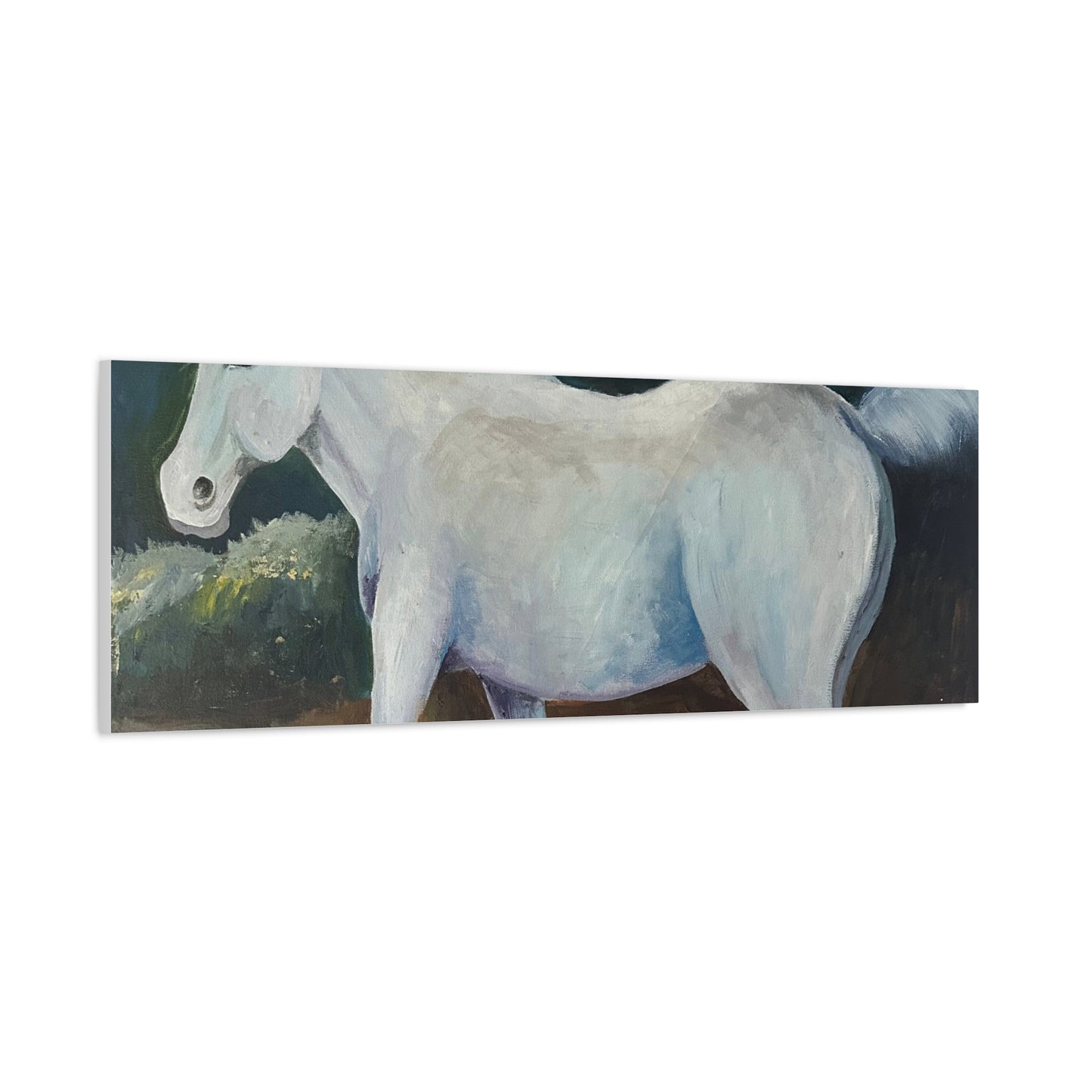 Canvas Art Print - White Horse