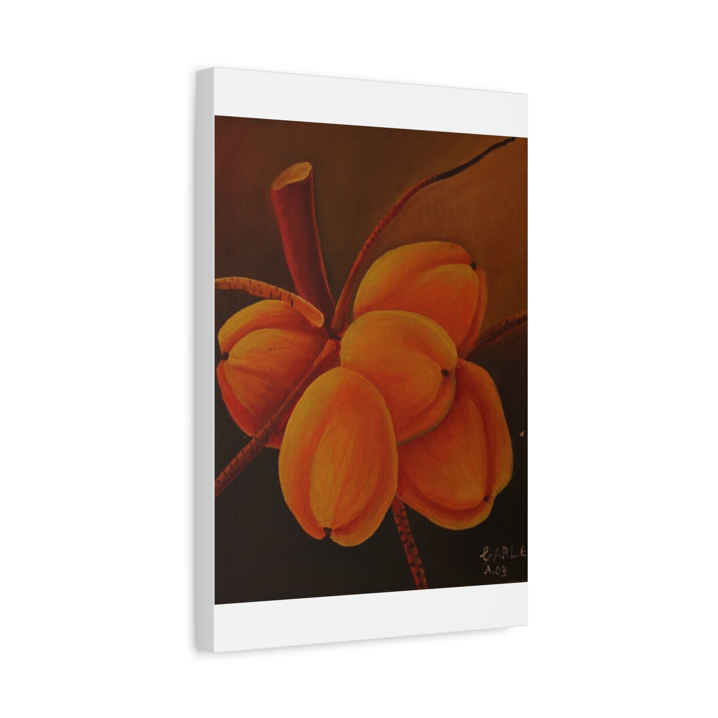 Canvas Print - Tropical Fruit Coconut Design
