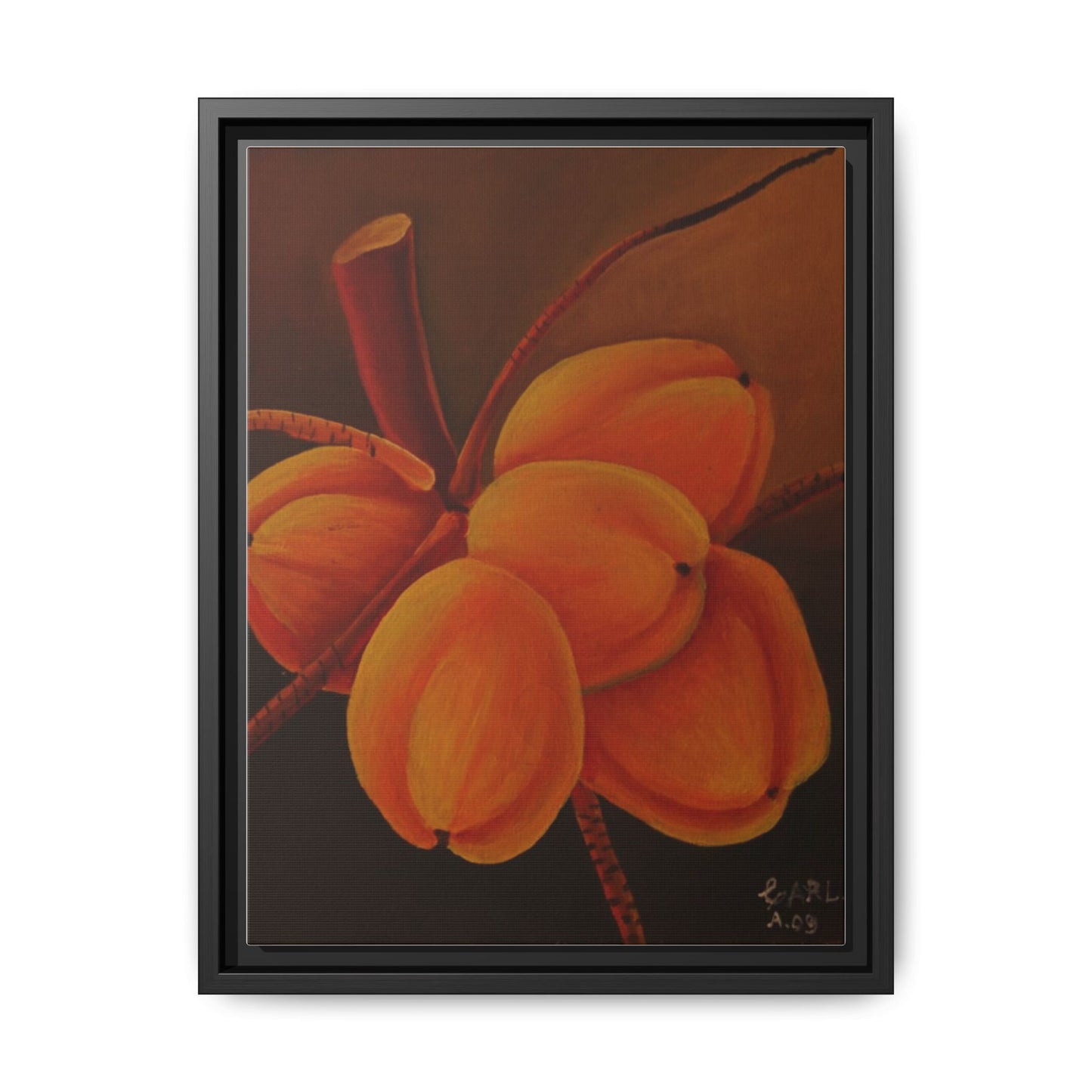 Matte Canvas, Framed (Multi-color)