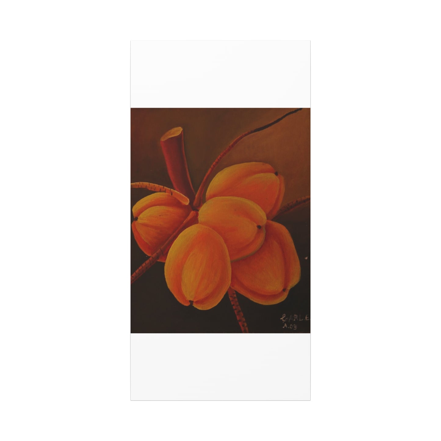 Canvas Print - Tropical Fruit Coconut Design