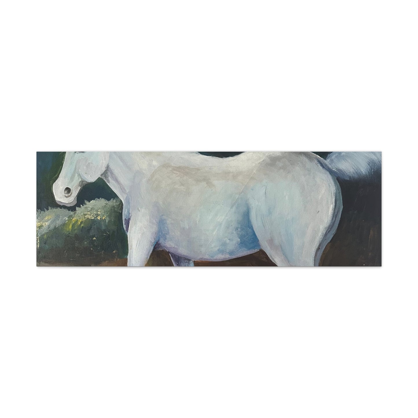 Canvas Art Print - White Horse