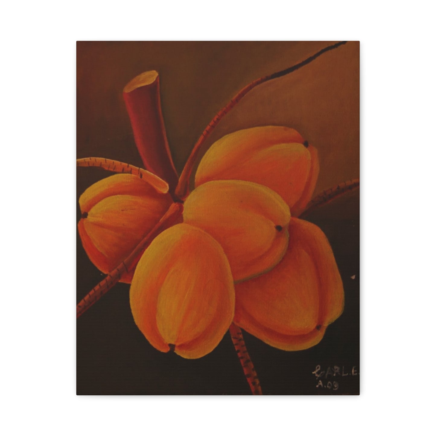 Canvas Print - Tropical Fruit Coconut Design