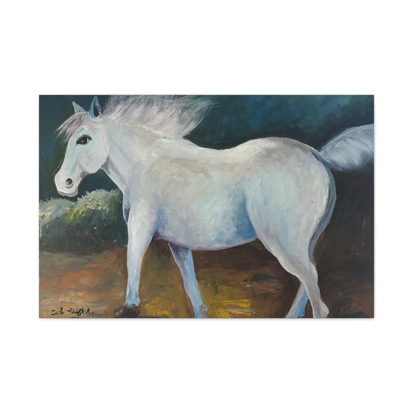Canvas Art Print - White Horse
