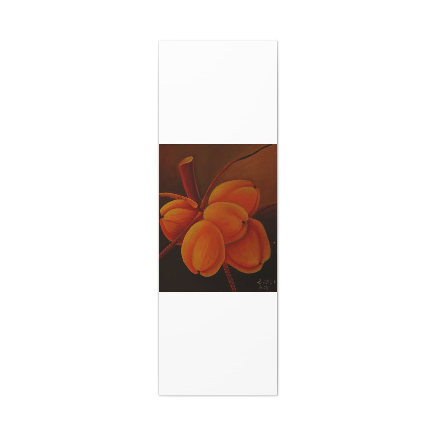 Canvas Print - Tropical Fruit Coconut Design