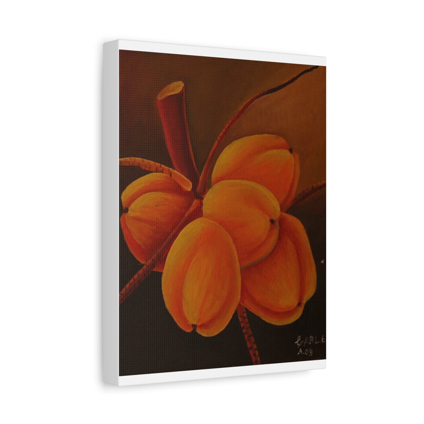 Canvas Print - Tropical Fruit Coconut Design