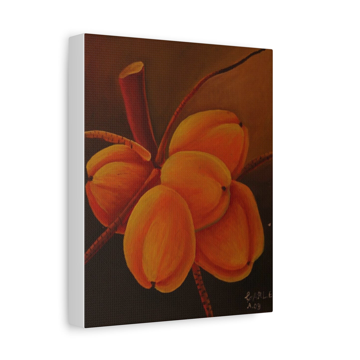 Canvas Print - Tropical Fruit Coconut Design