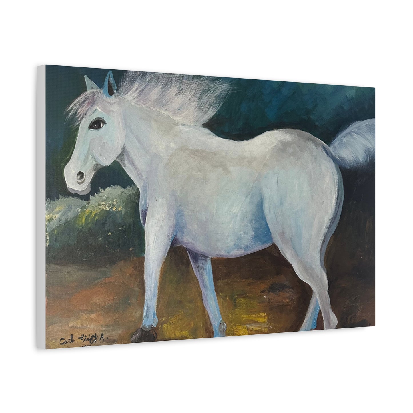 Canvas Art Print - White Horse