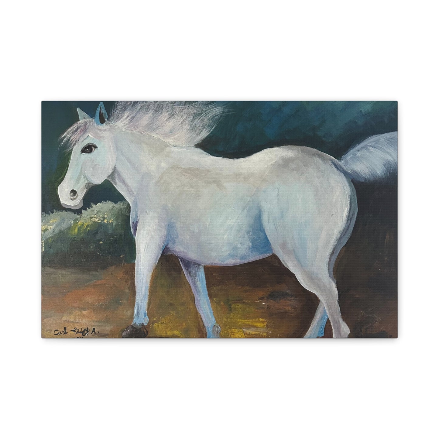 Canvas Art Print - White Horse