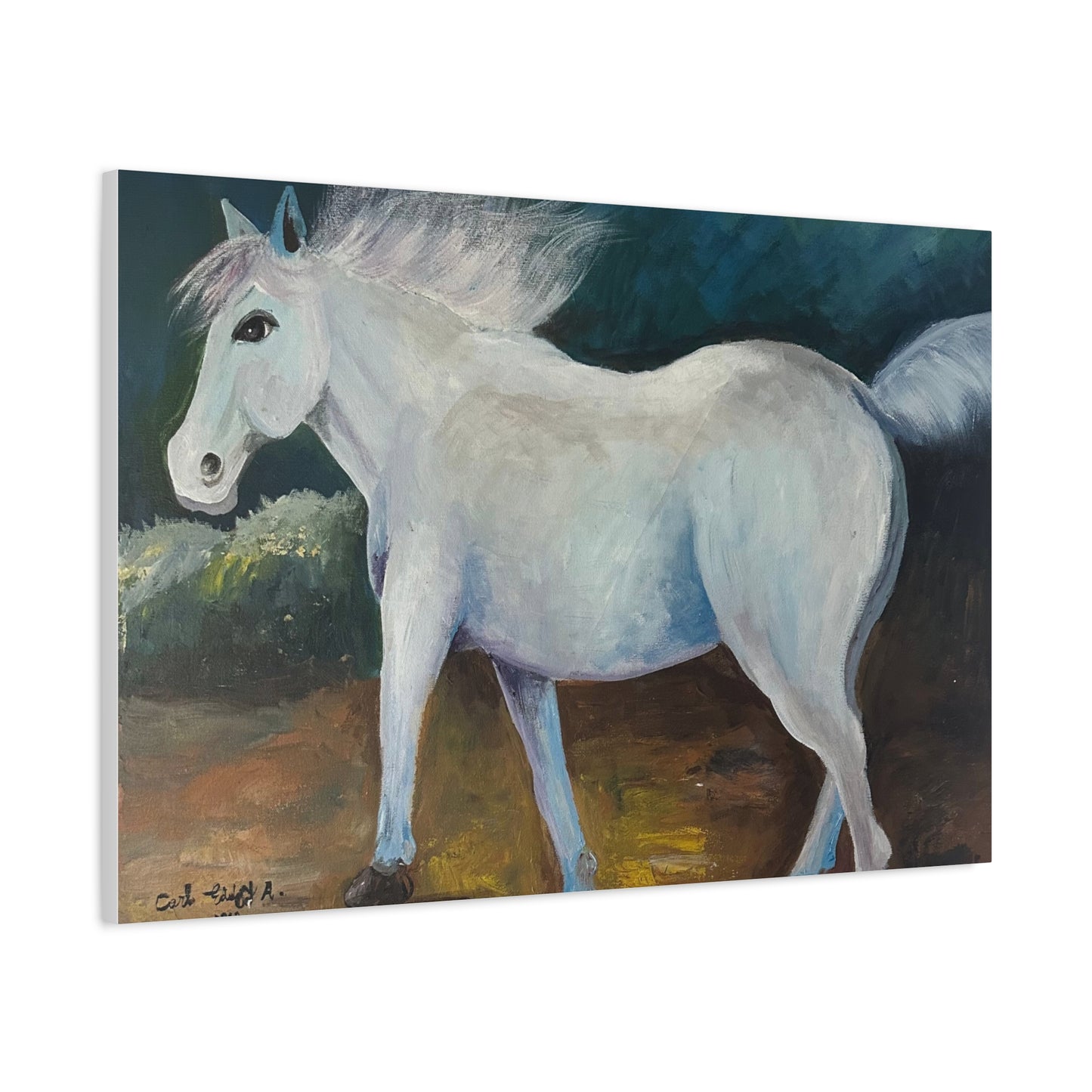 Canvas Art Print - White Horse