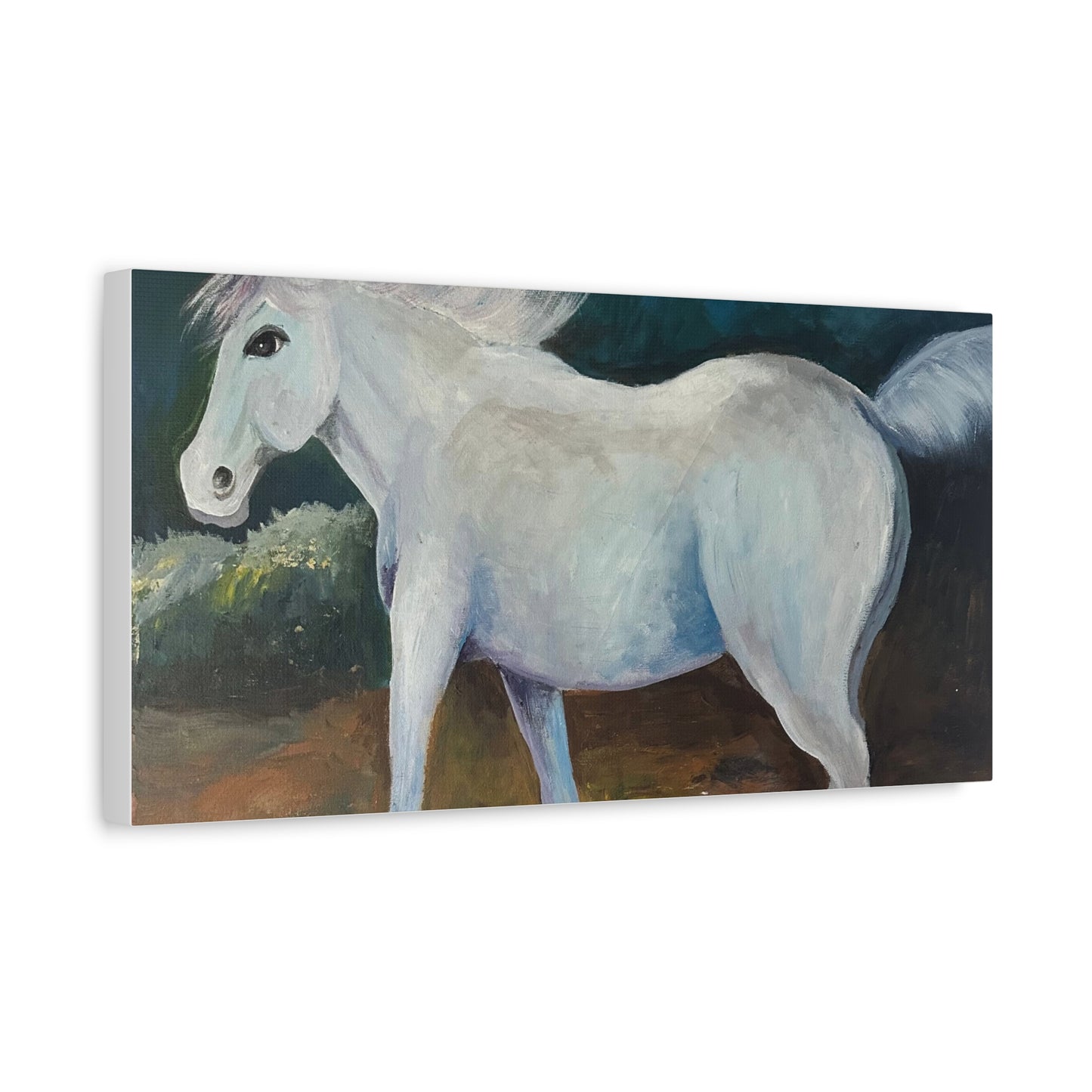 Canvas Art Print - White Horse