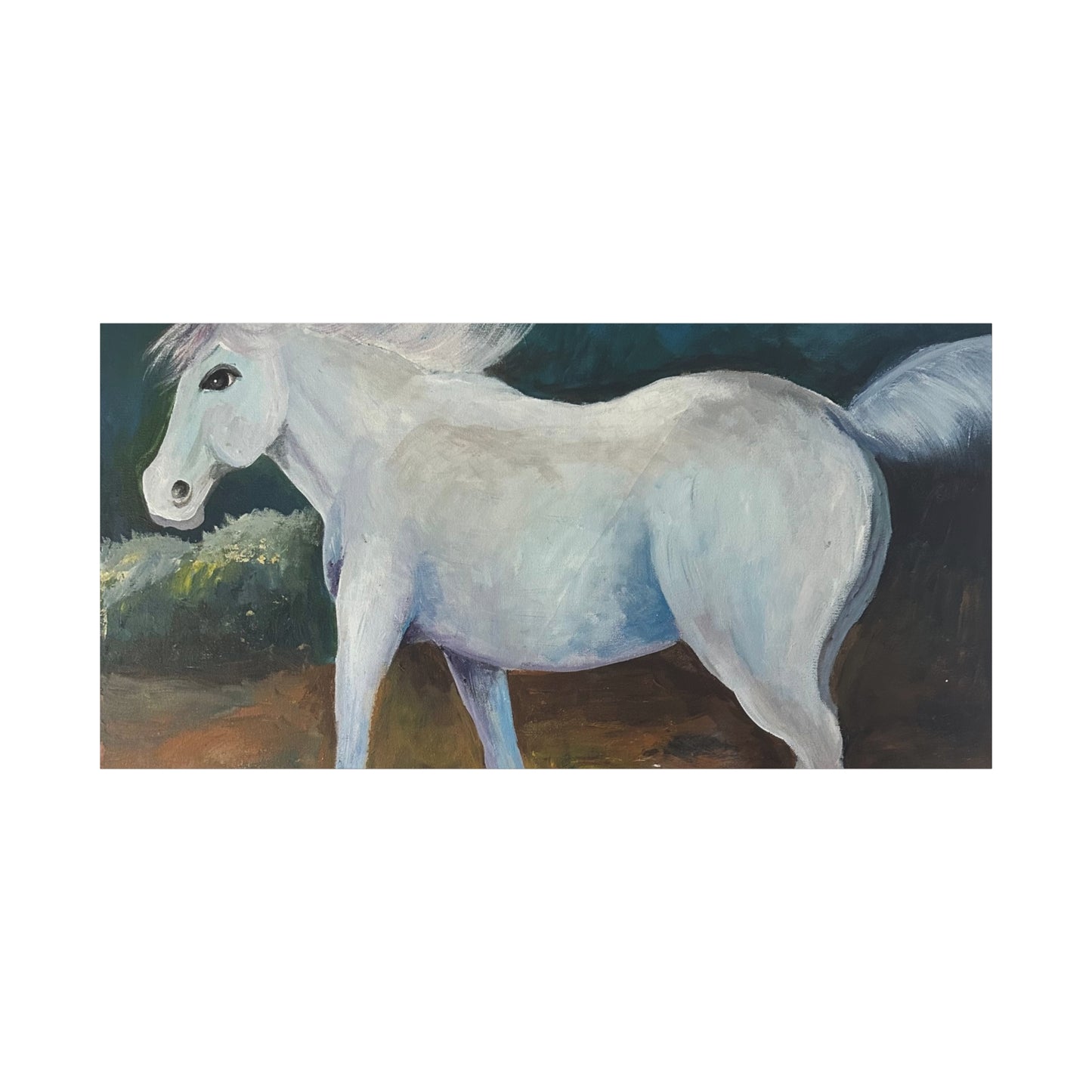 Canvas Art Print - White Horse