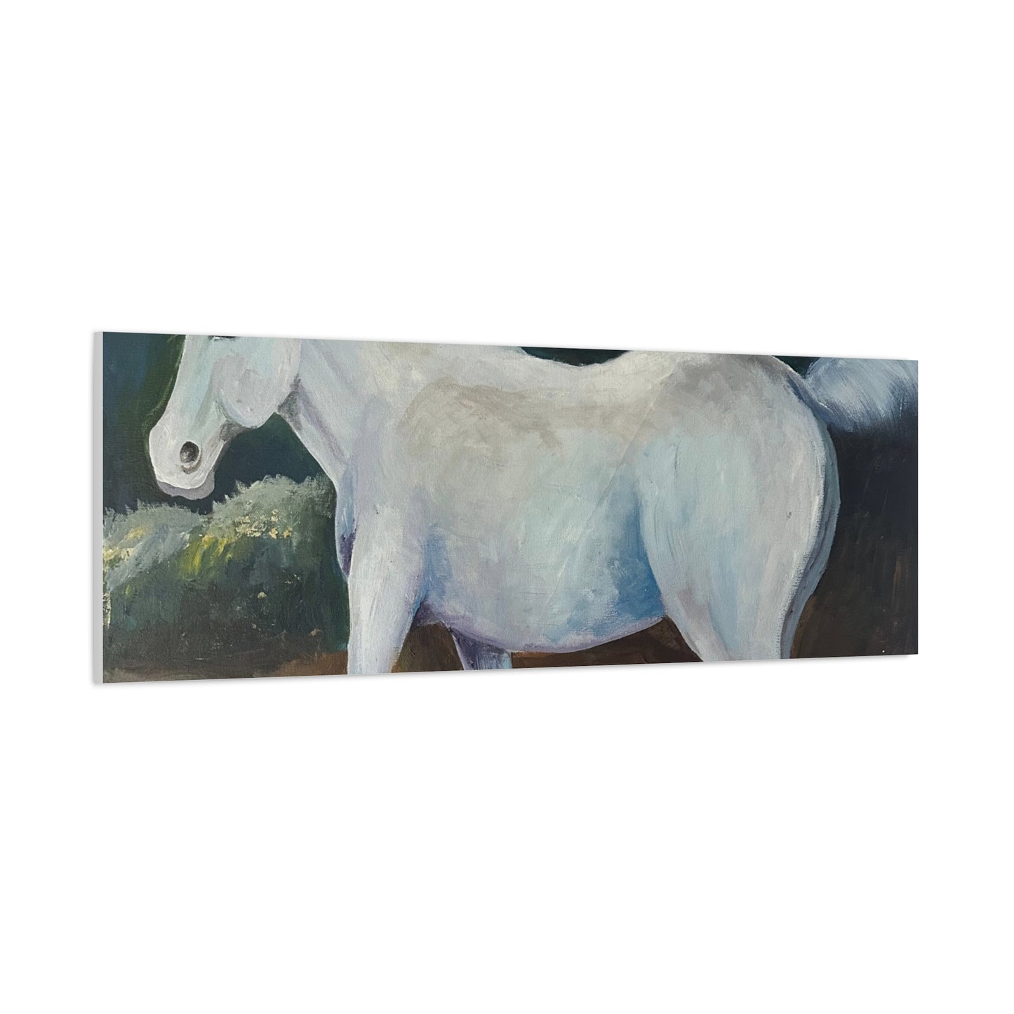 Canvas Art Print - White Horse