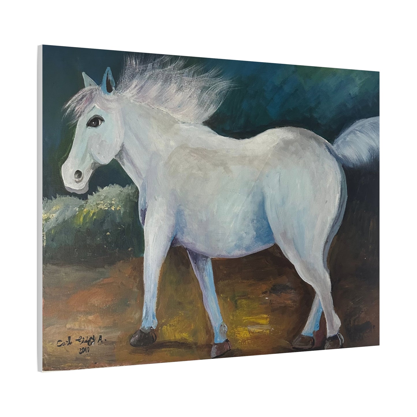 Canvas Art Print - White Horse