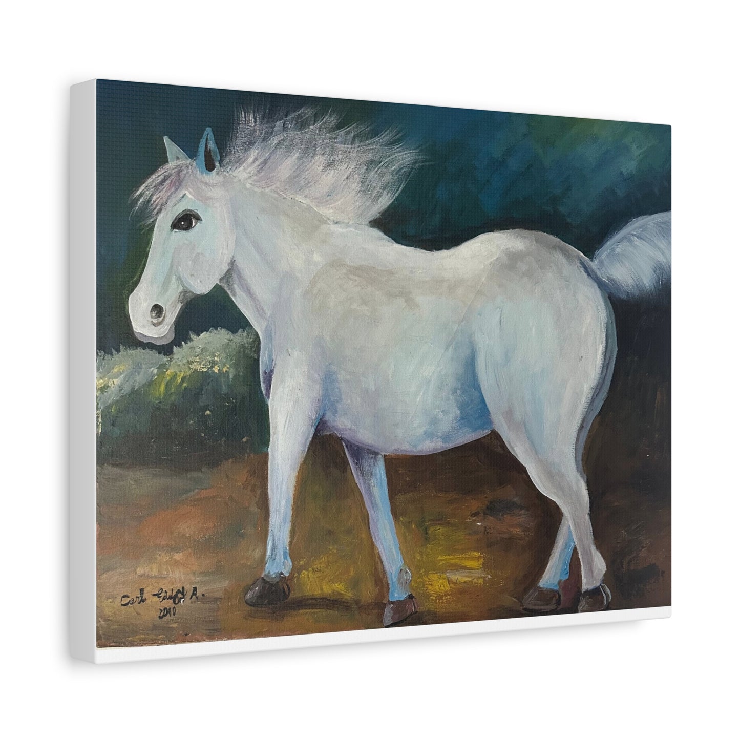 Canvas Art Print - White Horse