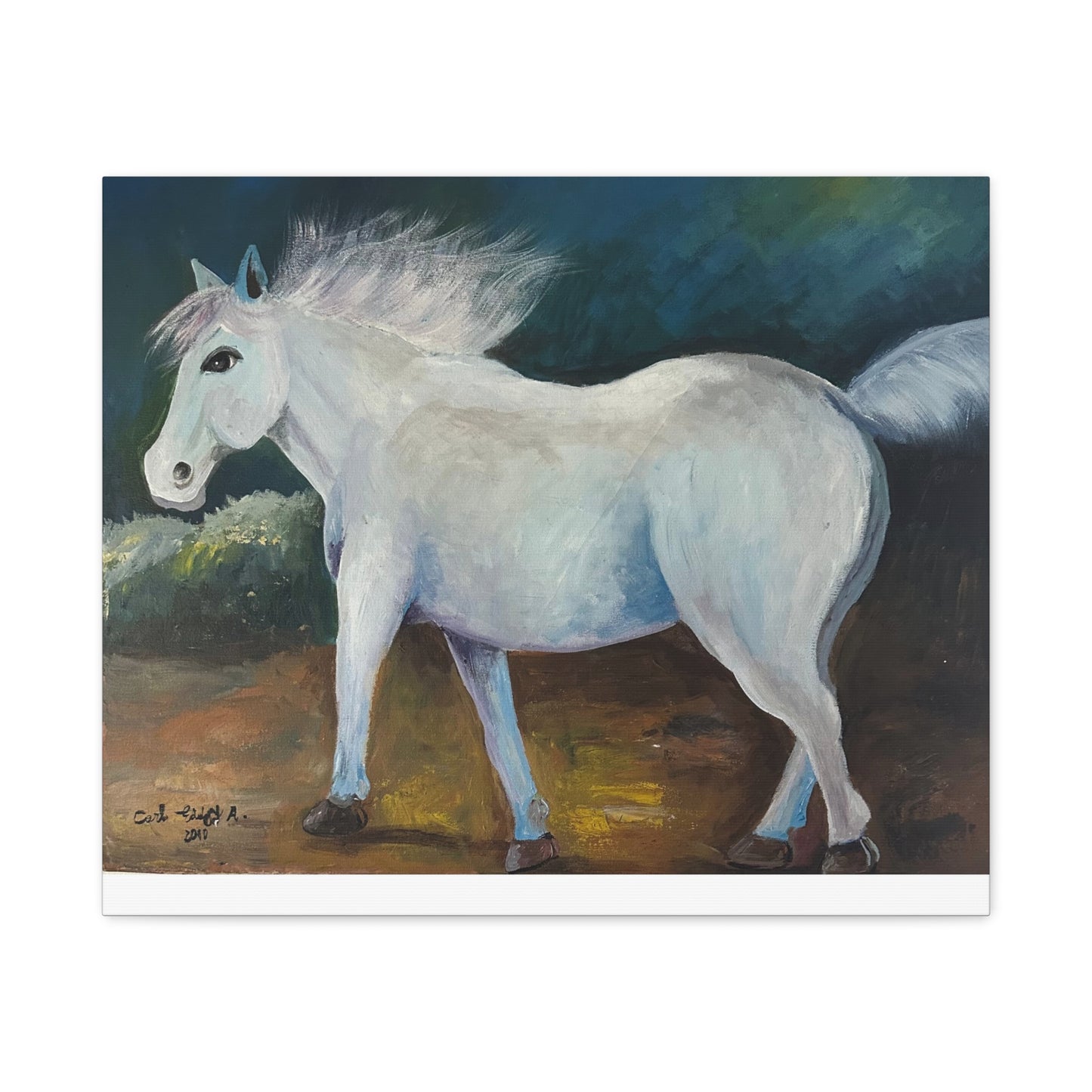 Canvas Art Print - White Horse