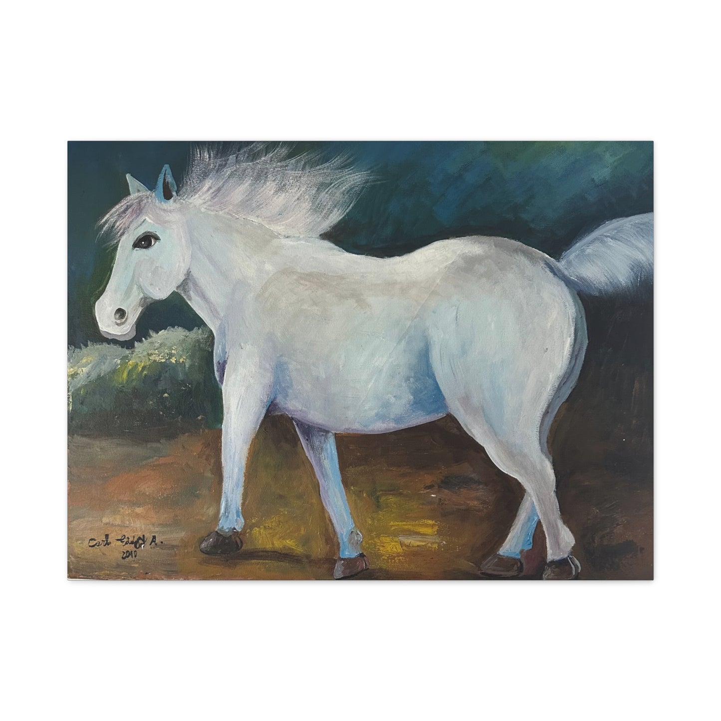 Canvas Art Print - White Horse