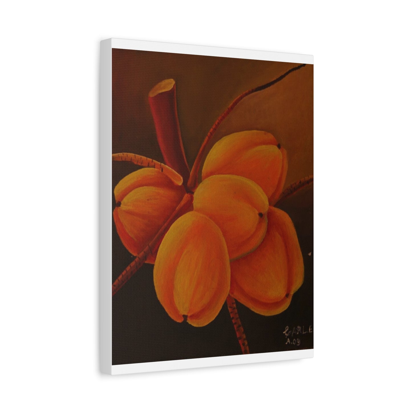 Canvas Print - Tropical Fruit Coconut Design