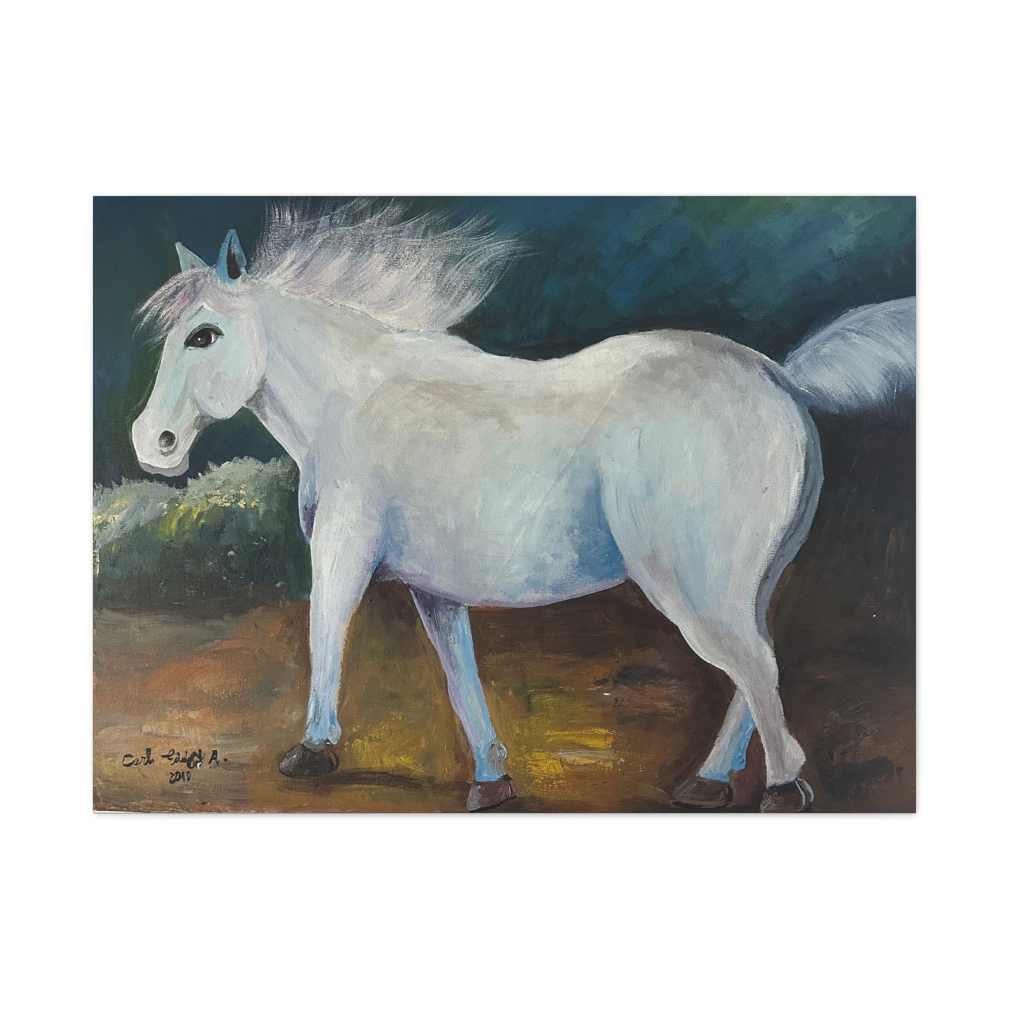 Canvas Art Print - White Horse