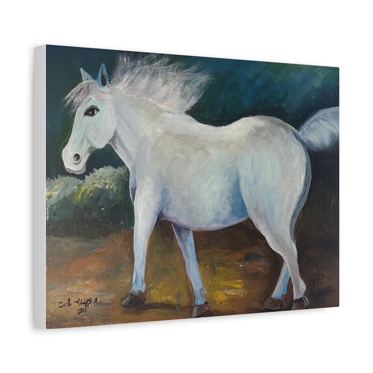 Canvas Art Print - White Horse