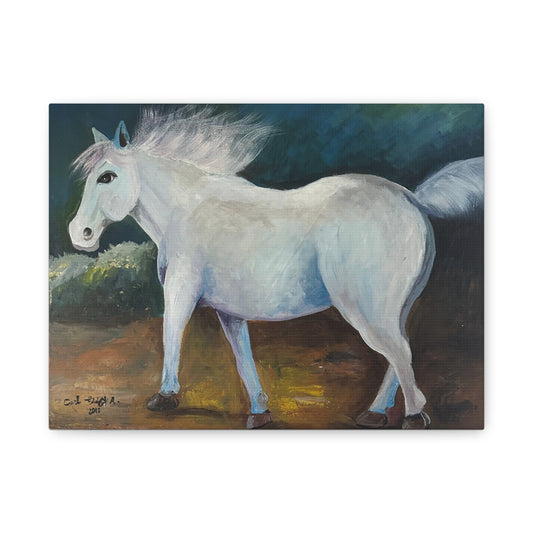 Canvas Art Print - White Horse