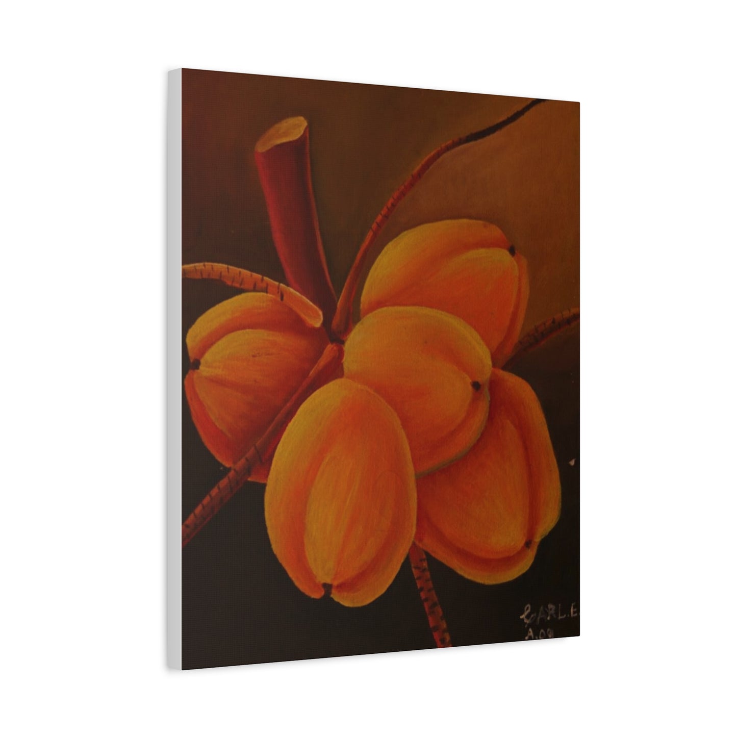 Canvas Print - Tropical Fruit Coconut Design