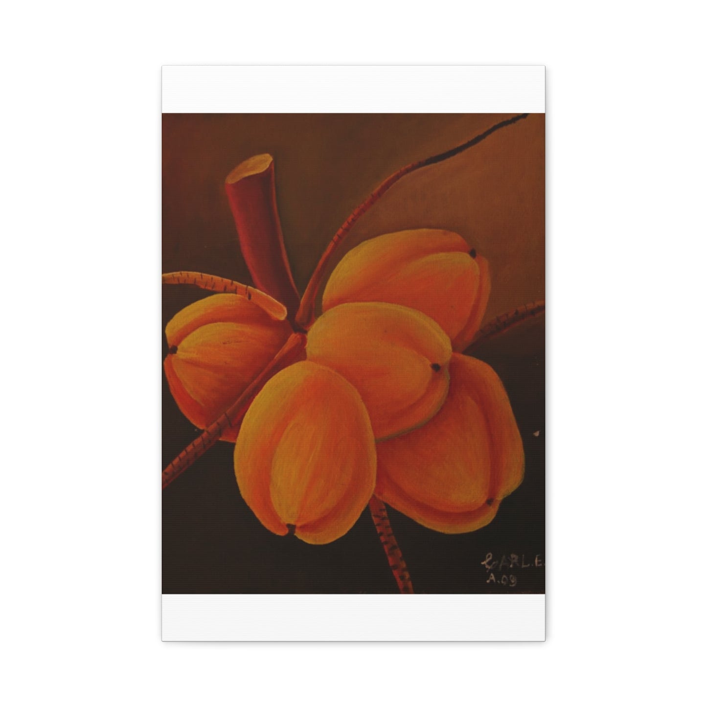 Canvas Print - Tropical Fruit Coconut Design