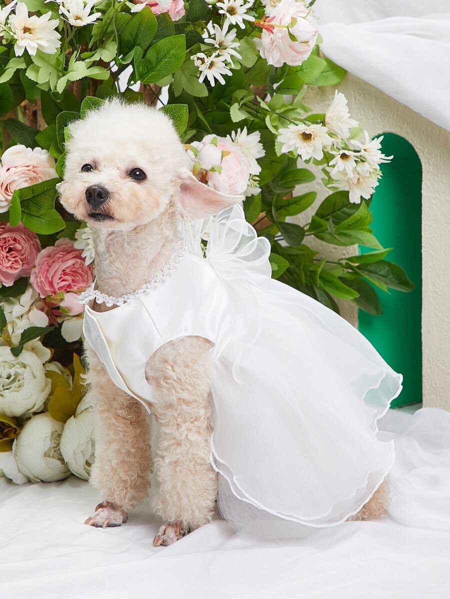 //img.ltwebstatic.com/images3_pi/2022/06/23/165599116886a30b23a3975fe45e9f0bf943adfc49_thumbnail_900x.webp
