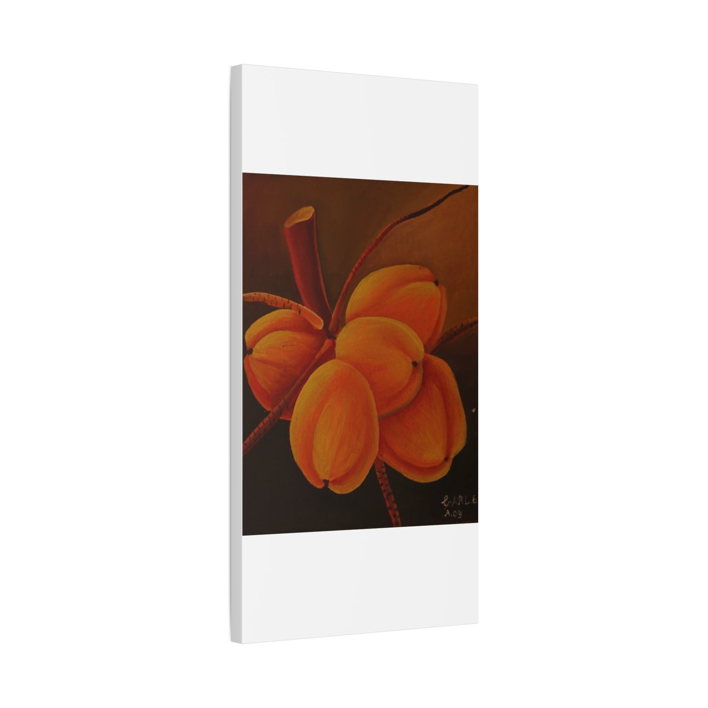 Canvas Print - Tropical Fruit Coconut Design