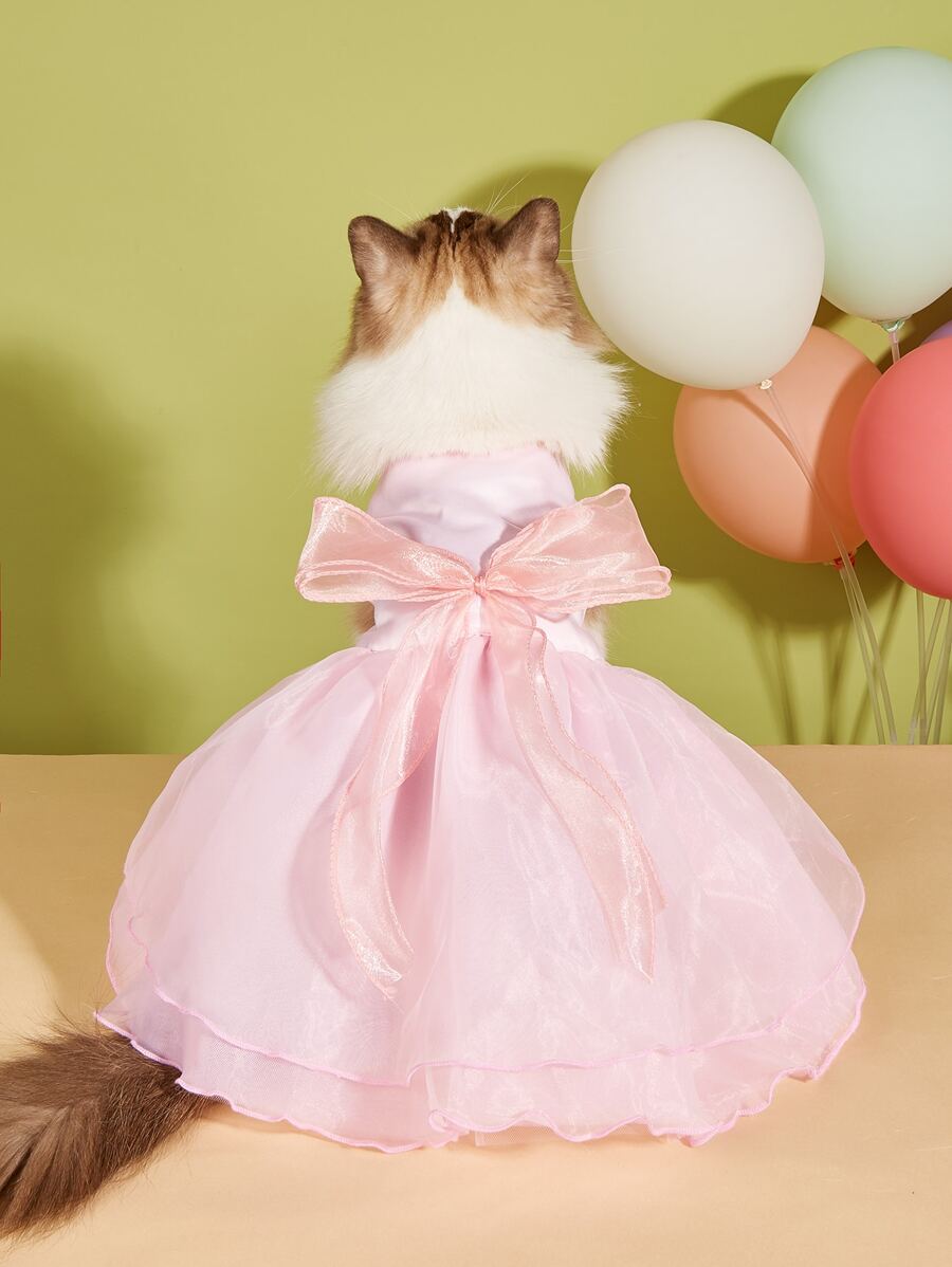 //img.ltwebstatic.com/images3_pi/2022/10/24/16665763792e2d43624112e2f3640fbcebf28addf2_thumbnail_900x.webp