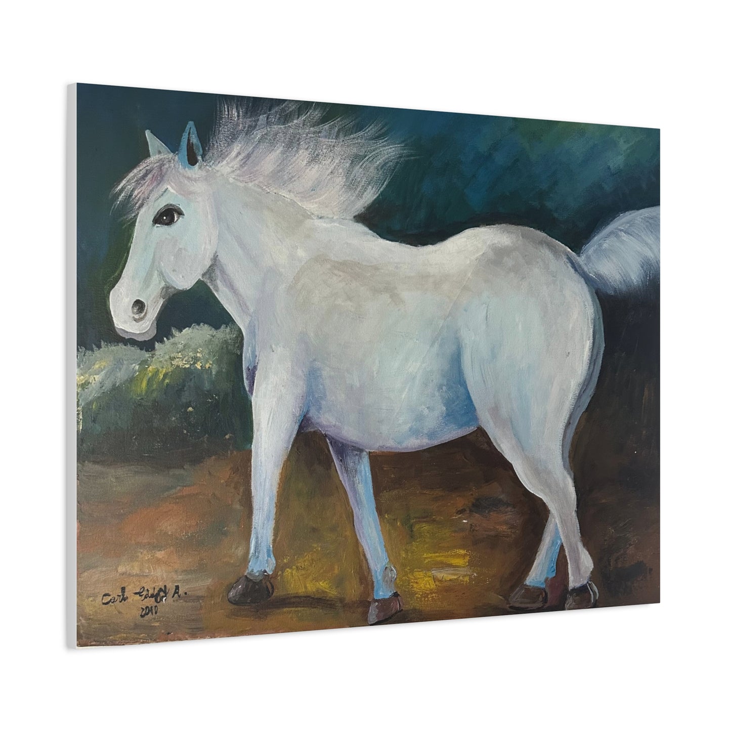 Canvas Art Print - White Horse