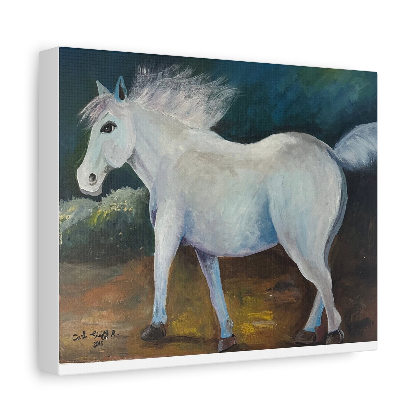 Canvas Art Print - White Horse