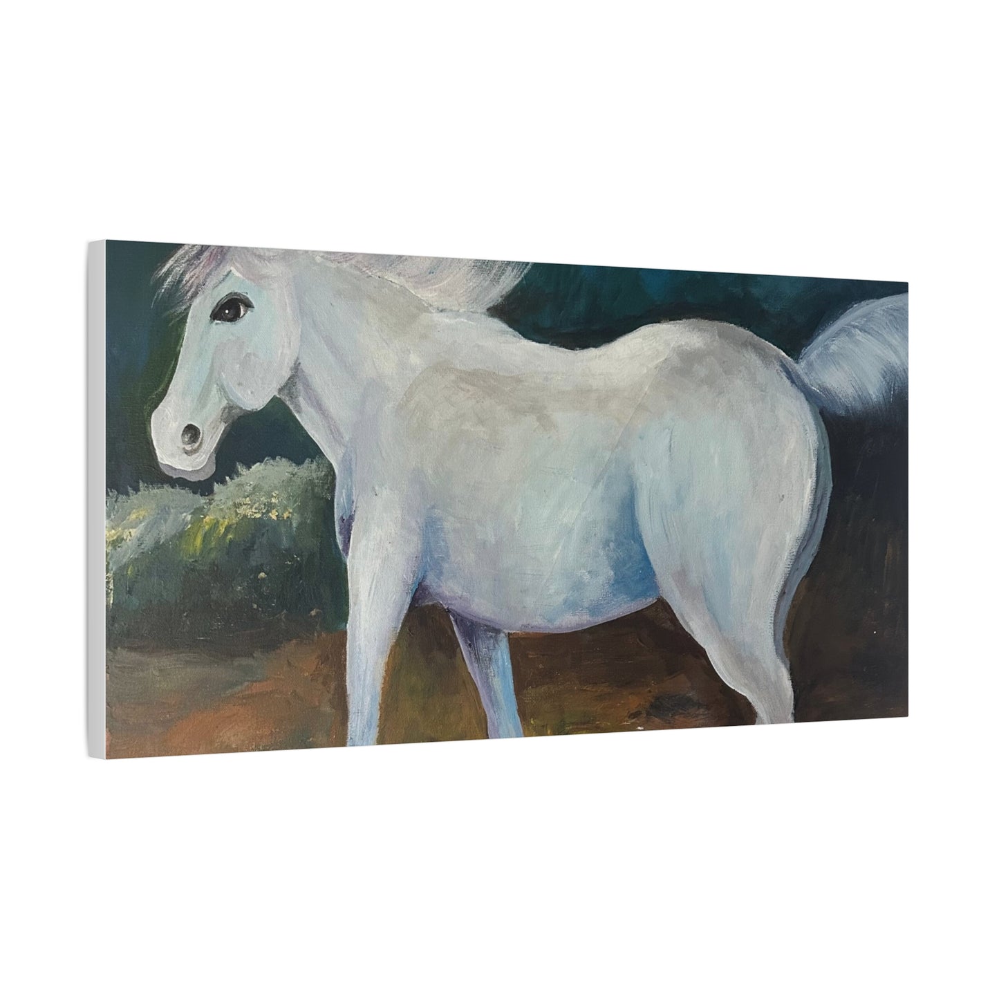 Canvas Art Print - White Horse