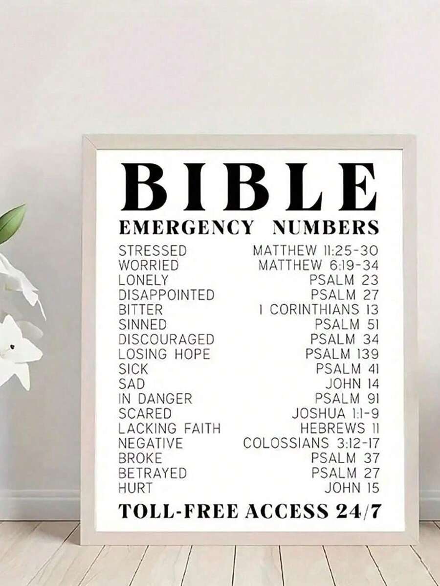 //img.ltwebstatic.com/images3_pi/2024/11/26/86/173258848644e7af195394c7506ba1bcfea5bb0a6d_thumbnail_900x.webp