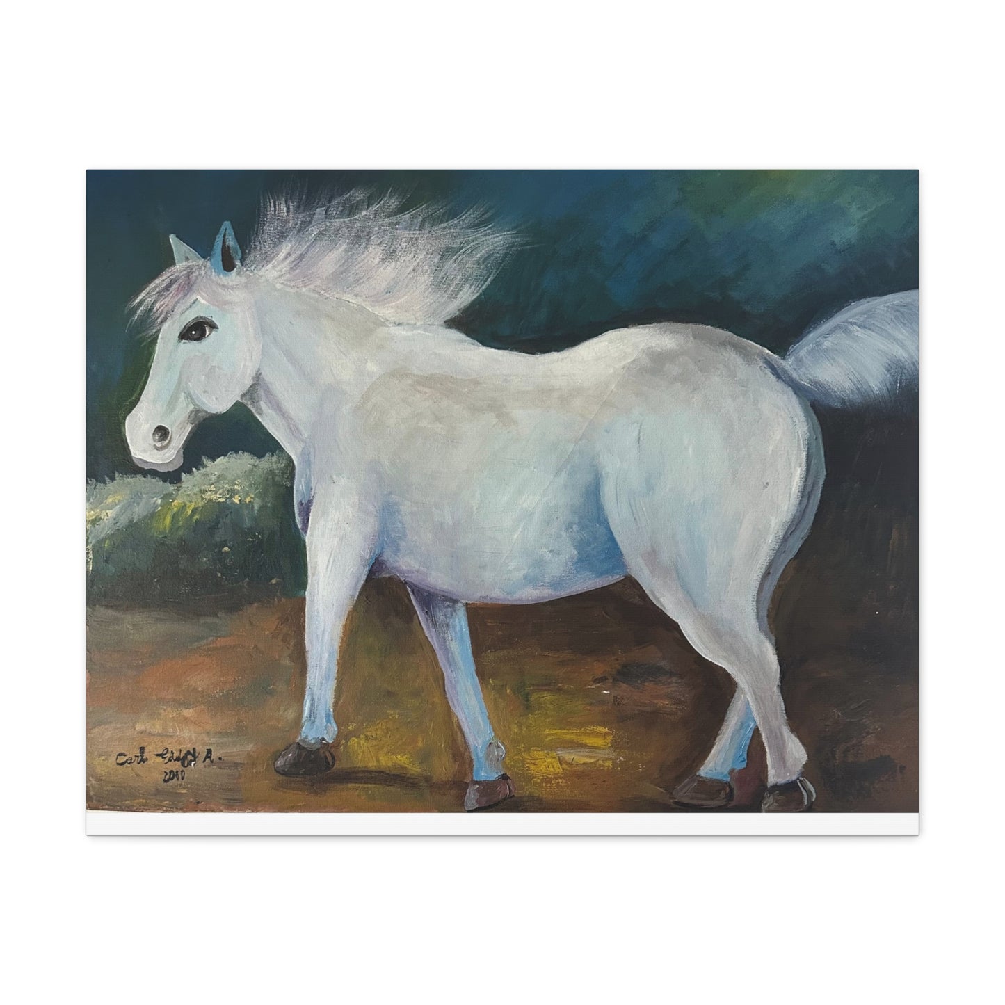 Canvas Art Print - White Horse