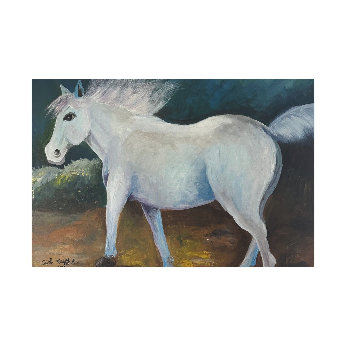 Canvas Art Print - White Horse