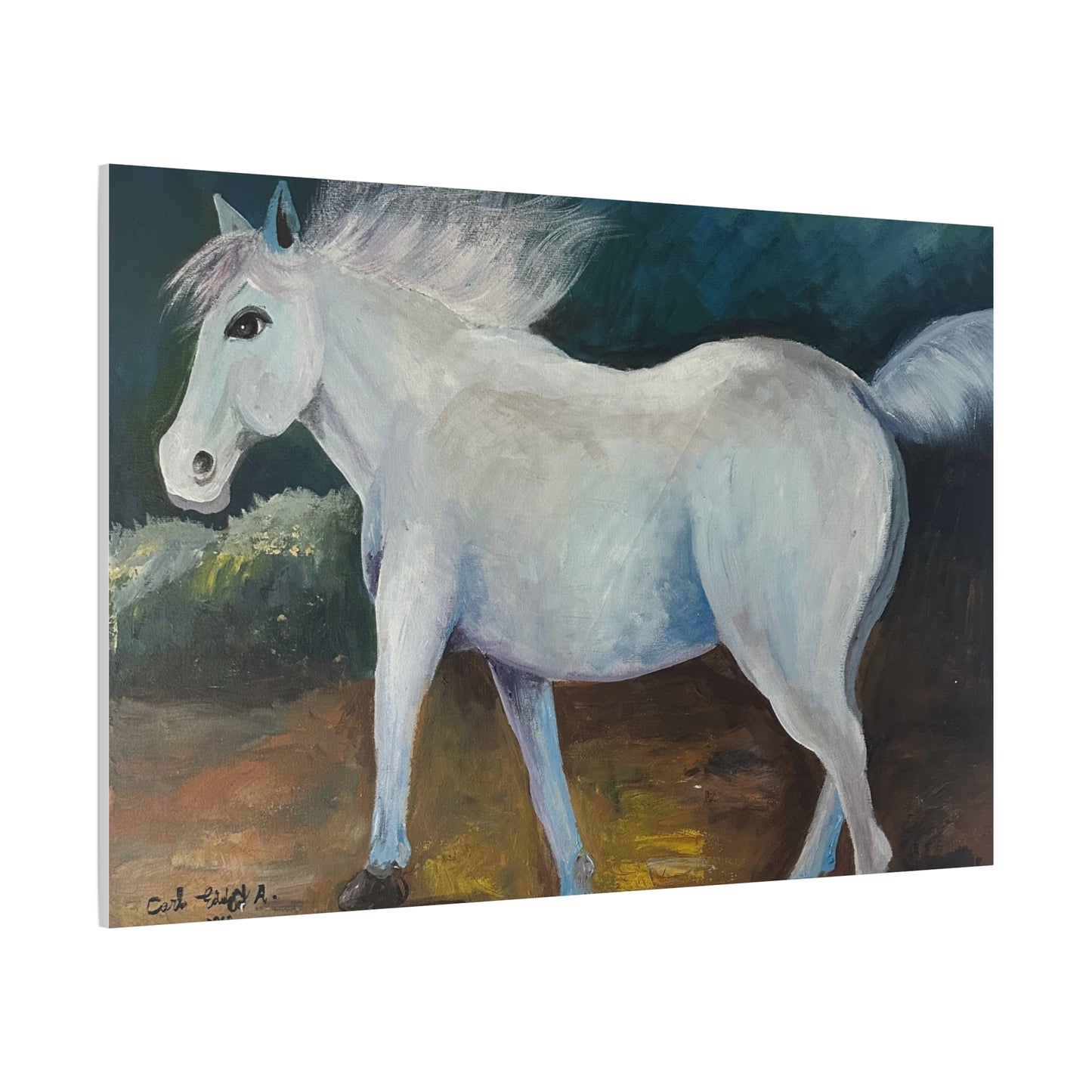 Canvas Art Print - White Horse