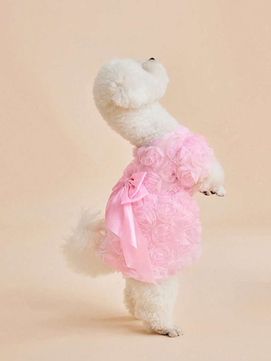 //img.ltwebstatic.com/v4/j/pi/2025/05/06/f4/1746520825debcc40197fa834e293ec012cf392d52_thumbnail_900x.webp