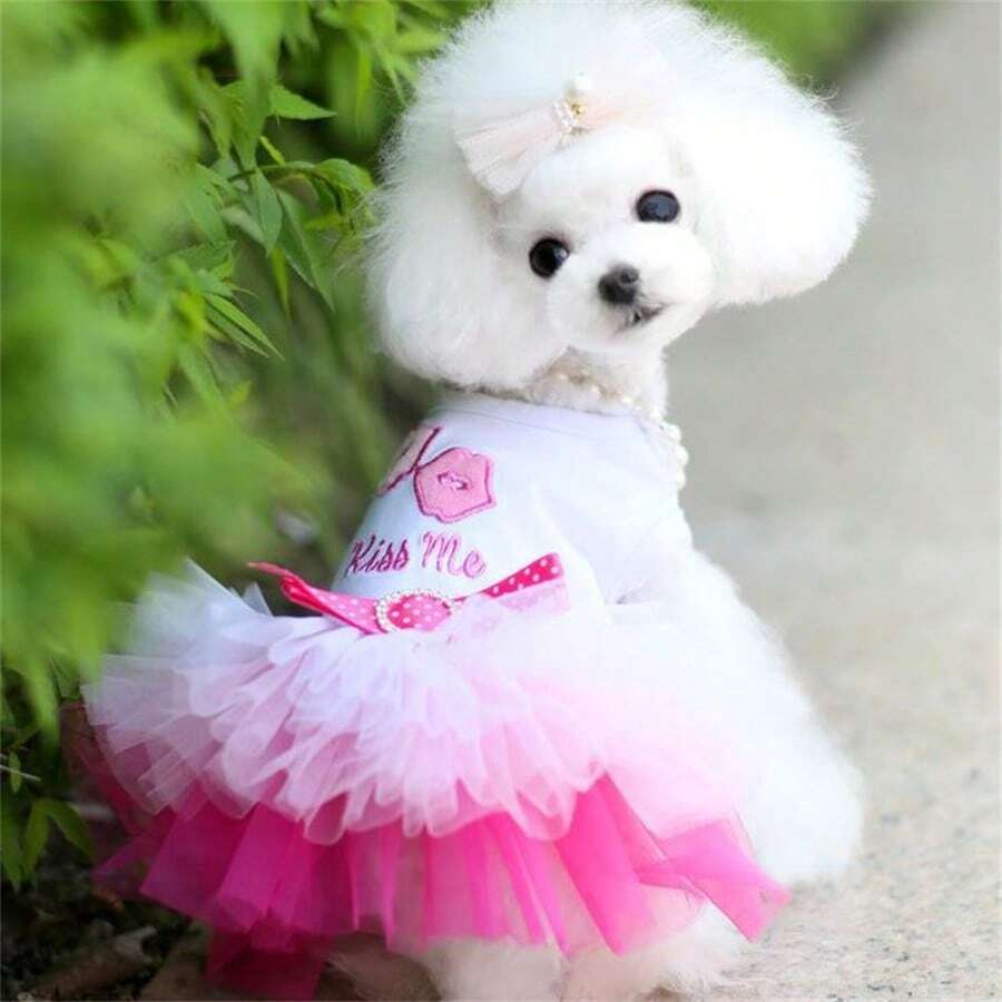 //img.ltwebstatic.com/v4/j/spmp/2025/10/21/4a/176103238870b41d8e1ea665a2140787a8bf9ac642_square_thumbnail_900x.webp