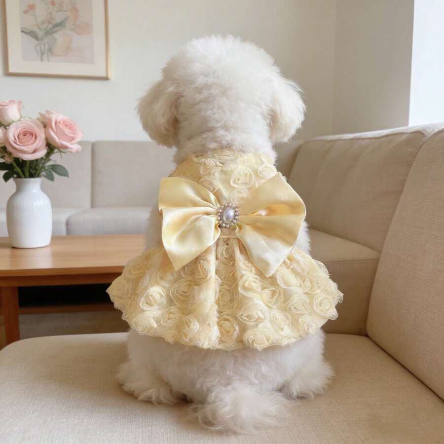 //img.ltwebstatic.com/v4/j/spmp/2025/12/29/79/1766981110bbe33d95b8d0d0010df0a9d38c4f09c0_square_thumbnail_900x.webp