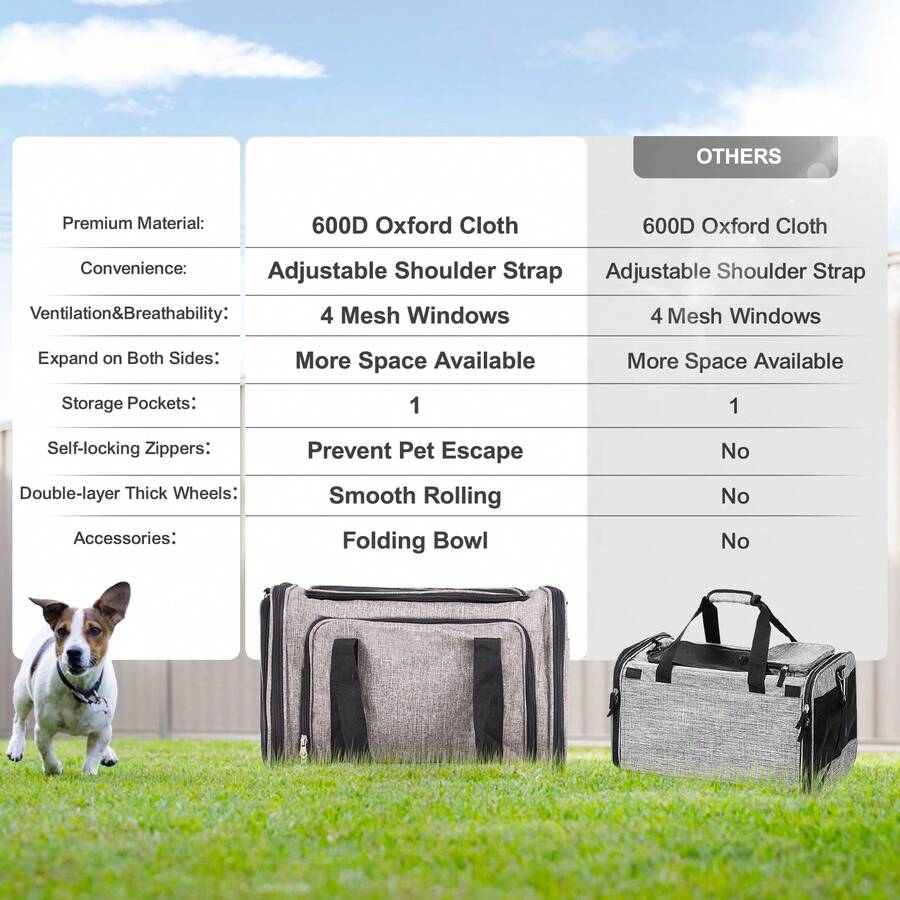 //img.ltwebstatic.com/v4/j/spmp/2026/01/08/d0/1767848957e104e49d77dc5eba97a15cb39493fa9d_square_thumbnail_900x.webp