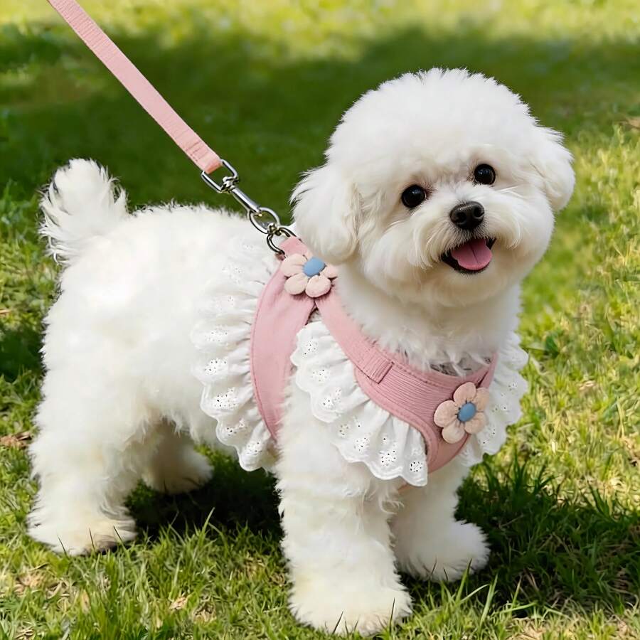 //img.ltwebstatic.com/v4/j/spmp/2026/03/11/4e/1773201293b4c39e5dfb6711f10cba51e44d4aaeaa_square_thumbnail_900x.webp