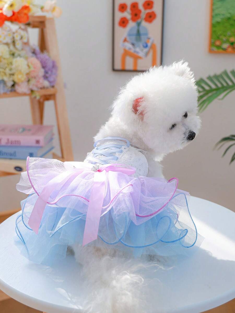 //img.ltwebstatic.com/v4/j/pi/2026/03/16/99/1773633419748ef20100e9e07fe4469da7ff5af837_thumbnail_900x.webp
