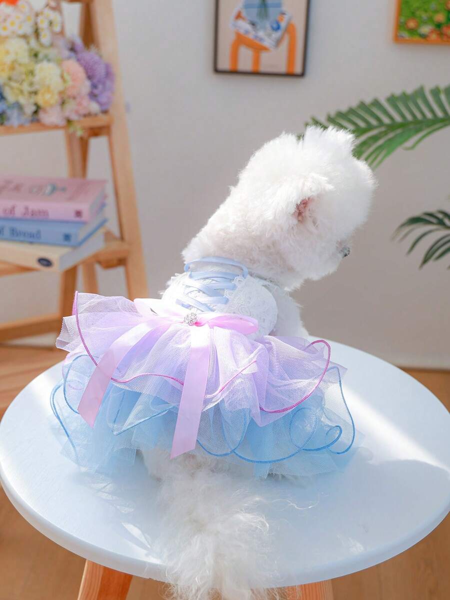 //img.ltwebstatic.com/v4/j/pi/2026/03/16/30/17736334206b39a7e9a1666436e8a9746b0c7ad35d_thumbnail_900x.webp