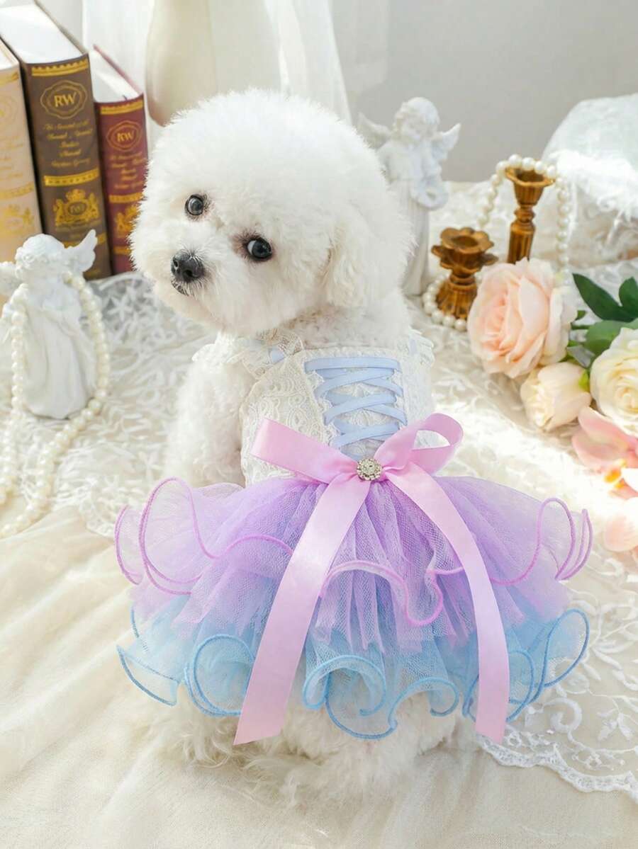 //img.ltwebstatic.com/v4/j/pi/2026/03/24/71/177433359395c98cd0b26a743f9a442a32a820ac76_thumbnail_900x.webp