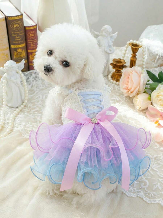 //img.ltwebstatic.com/v4/j/pi/2026/03/24/71/177433359395c98cd0b26a743f9a442a32a820ac76_thumbnail_900x.webp