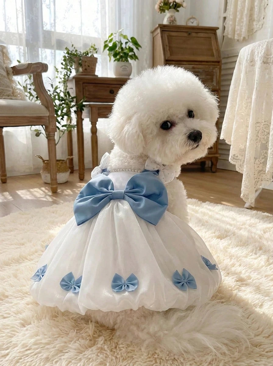 //img.ltwebstatic.com/v4/j/spmp/2026/03/25/57/17744406494b77c527df91023d90eb398e83f48d1a_thumbnail_900x.webp