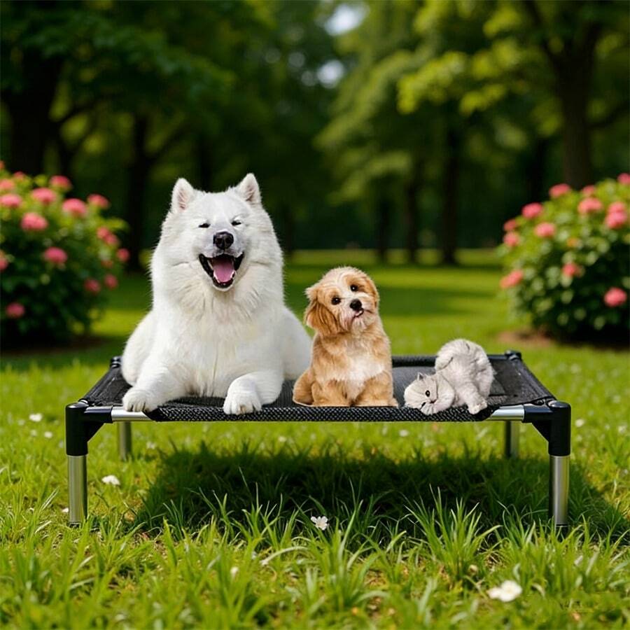 //img.ltwebstatic.com/v4/p/spmp/2026/05/26/cd/17797741565290dab544c36edfa0cdcd5123aa9cec_square_thumbnail_900x.webp