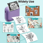 //img.ltwebstatic.com/v4/p/spmp/2026/07/03/bf/1783057544463f492a97586eea7f4cca5a257e32b9_square_thumbnail_900x.webp